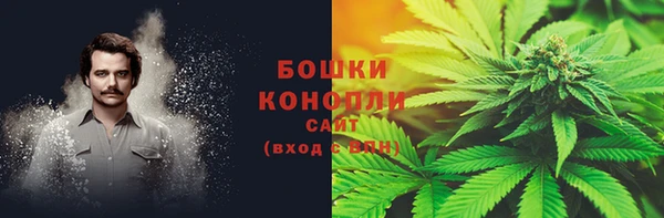 сатива Каменногорск