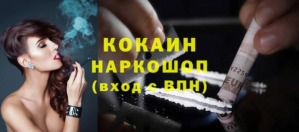 сатива Каменногорск