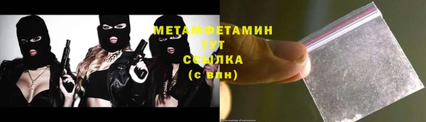 сатива Каменногорск