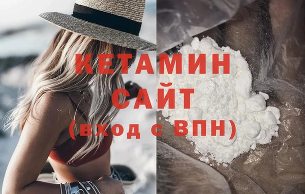сатива Каменногорск