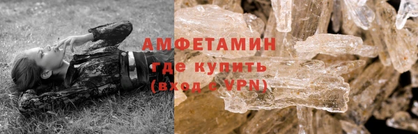 сатива Каменногорск