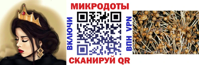 Купить закладки  Злынка  Псилоцибиновые грибы мицелий 